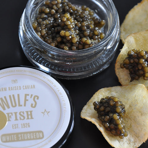 Wulf's California White Sturgeon