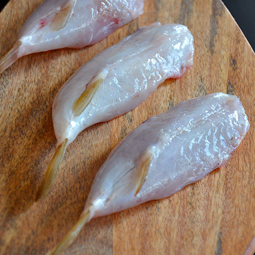 American Blowfish Tails