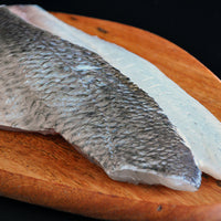 Dorade Sea Bream