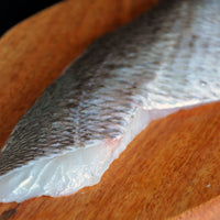 Dorade Sea Bream