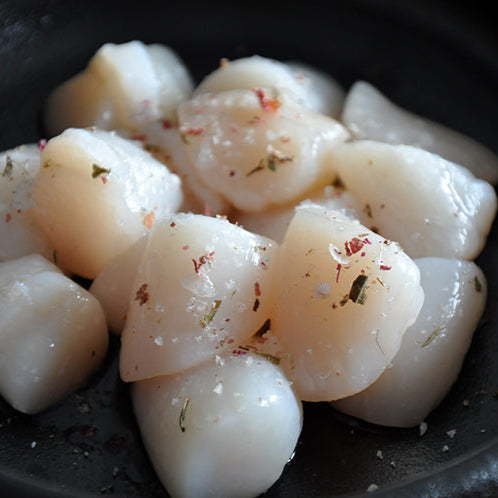 Bay Scallops