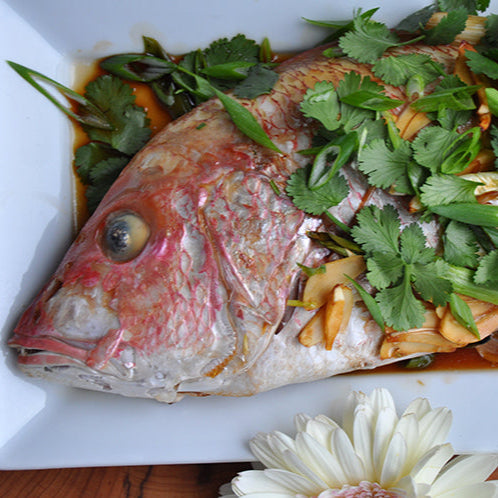 Whole Red Snapper