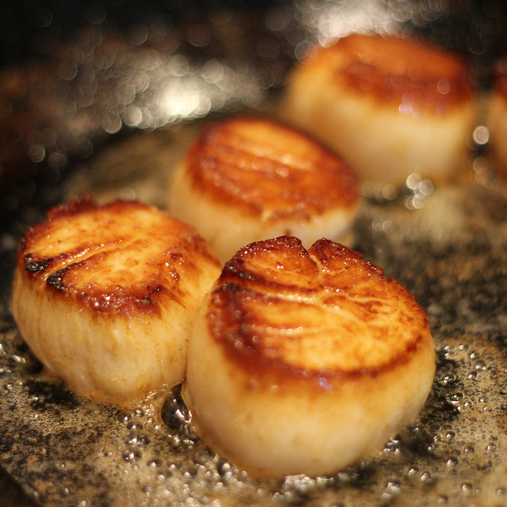 Wulf's Greatest Hits Box