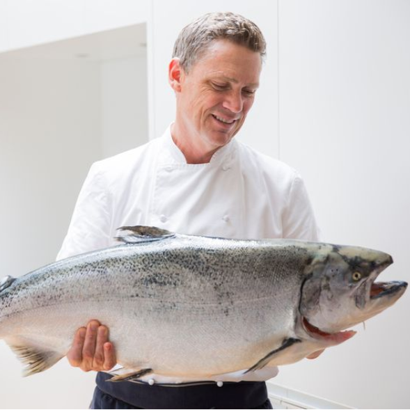 Ora King Salmon Short Cuts