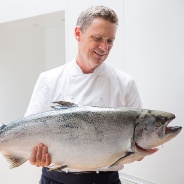 Ora King Salmon Bellies