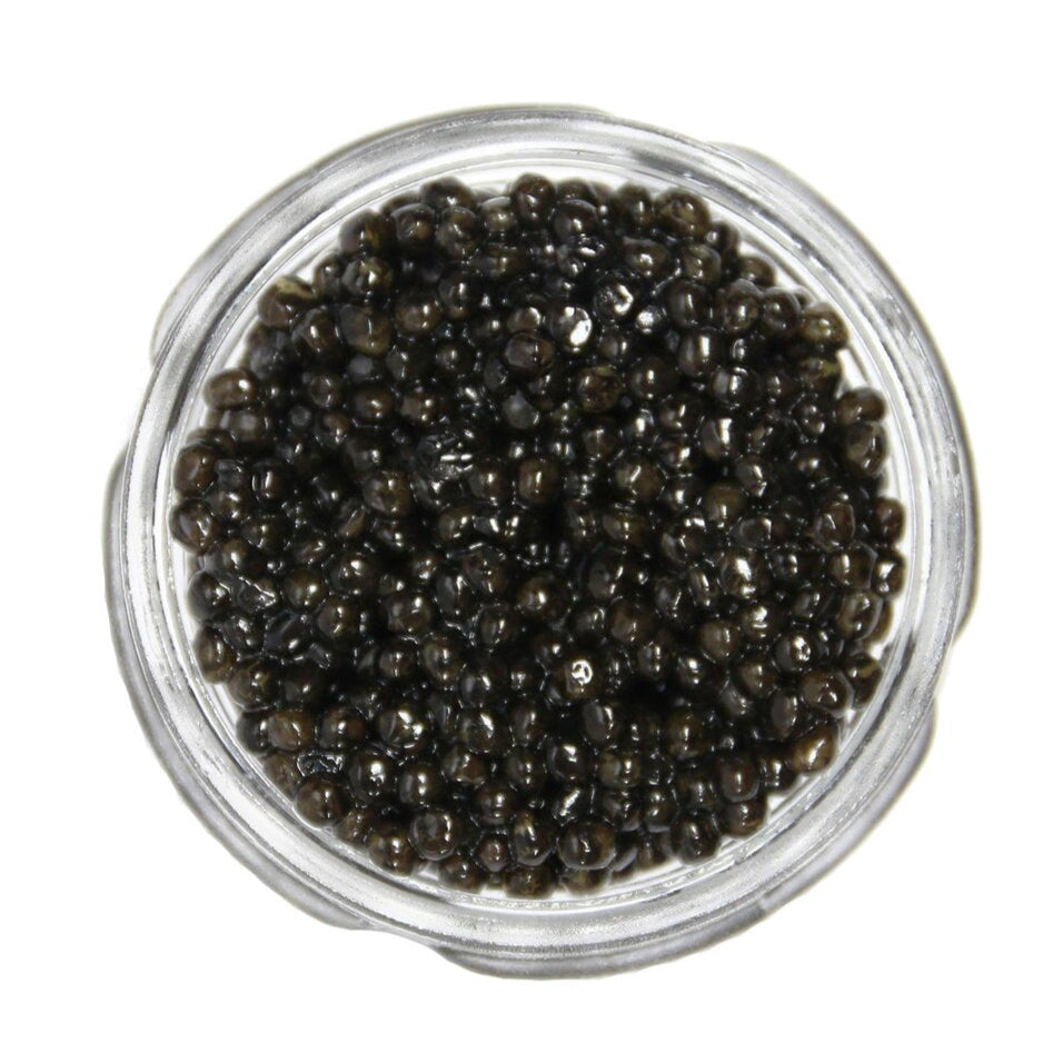 Wulf's California White Sturgeon