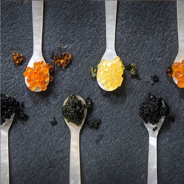 Wulf’s Paddlefish Caviar